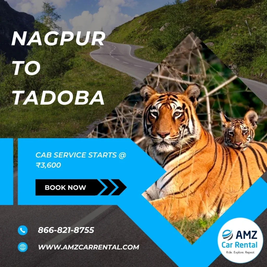 Nagpur to Tadoba Cab